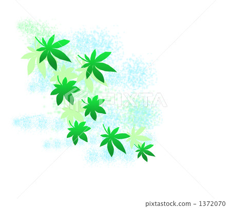 活潑的楓樹 1372070