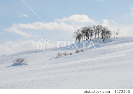 雪原的山丘 1372330