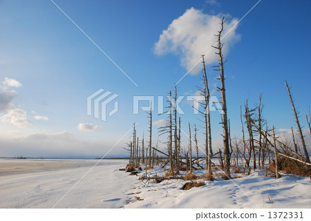 托多拉州 1372331