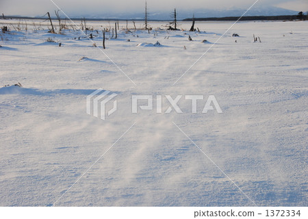 托多拉州 1372334