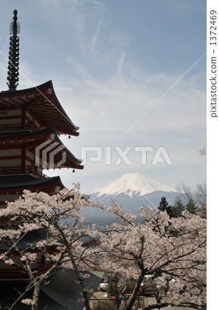 春天的五重塔和富士山 1372469