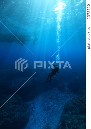 Diver taking a shower of light 1372720