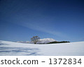 One cherry tree of Koiwai farm in winter and Mt. Iwate 1372834