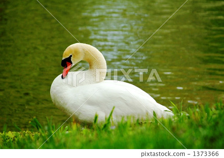 在湖上休息 在湖上休息 1373366