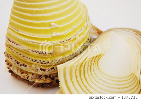 season, Root Vegetables, bamboo shoot 1373735