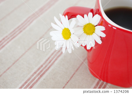 雛菊 杯子 馬克杯 1374206