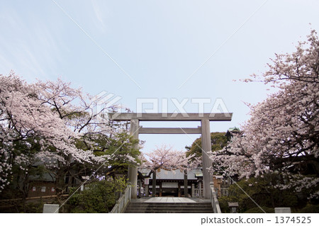 神殿 神奈川縣 日本 1374525