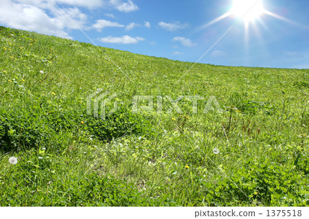 草原，藍天和太陽 1375518