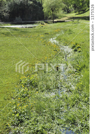 來自塞納河的水源 1375526