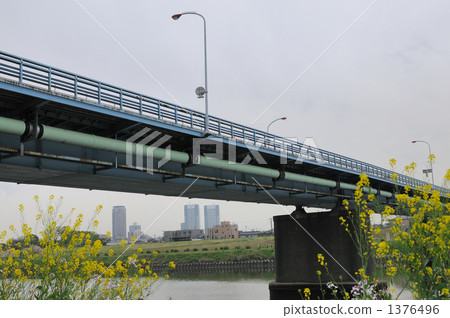橋樑 橋 東京 1376496