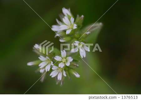 休閒方式 1376513