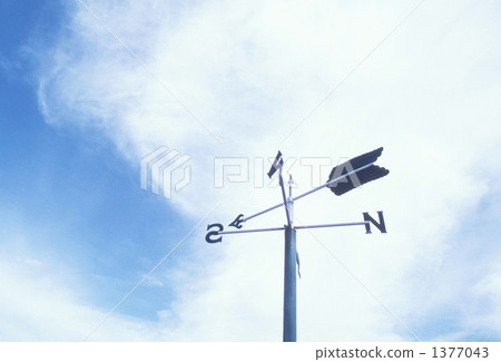 風雞在天空中 1377043