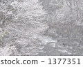 Snow scene 1377351