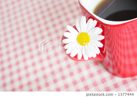 mug, coffee, marguerite 1377444