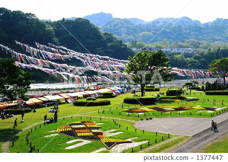 carp streamer, japanese carp-shaped windsock, park 1377447