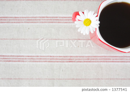 argyranthemum frutescens, marguerite daisy, the marguerite and marguerite daisy 1377541
