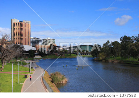 澳洲南澳阿德萊德埃爾德公園 1377588