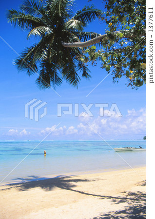 Palm tree reflected on the sea surface of Tahiti Palm tree reflected on the sea surface of Tahiti 1377611