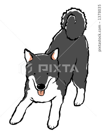 Black Shiba Inu invited by Preketz Black Shiba Inu invited by Preketz 1378035
