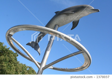 dolphin, dolphins, okinawa churaumi aquarium 1378037