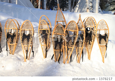 雪兔 雪兔 1378217