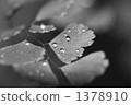 水球 1378910