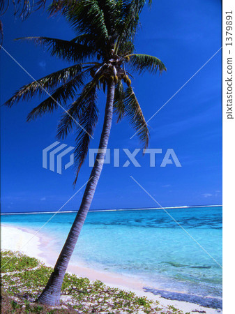 Nagisa's Palm 1379891