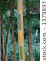  Bamboo grove 1379893
