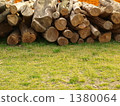 A log 1380064