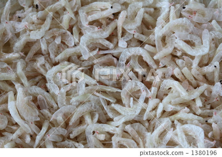 Dried oysters Dried oysters 1380196