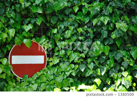 Green ivy and no entry Green ivy and no entry 1380500