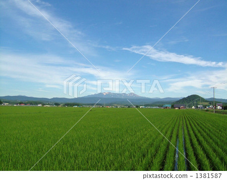 Paddy field and Daisetsuyama Paddy field and Daisetsuyama 1381587