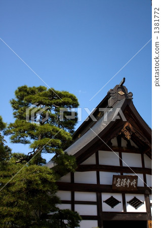 翠綠 鮮綠 山梨縣 1381772