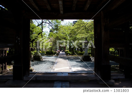 翠綠 鮮綠 甲州市 1381803