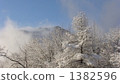 Snow scenery of Nikko Kurogawara (2) 1382596