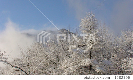 Nikko Kurogawara的雪景（2） 1382596