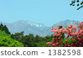 Spring of Nikko 1382598