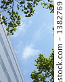 藍天和都市綠色 1382769