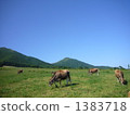 蒜山 娟珊牛 日本蒜山高原位於日本中國地區岡山縣真庭市上蒜山 1383718