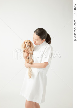動物醫院,寵物店形象 動物醫院,寵物店形象 1384647