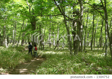 Hiking 1384752