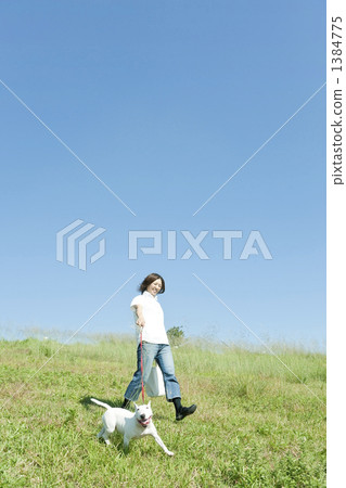 走與狗的一個少婦 1384775