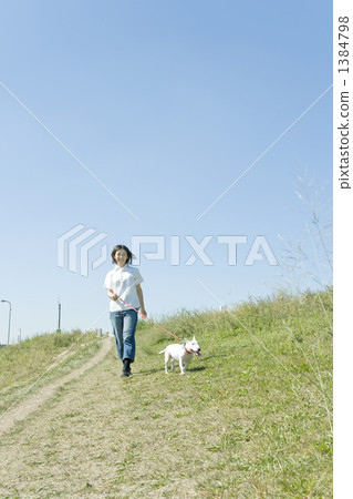 走與狗的一個少婦 1384798