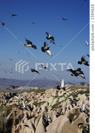 Dove Valley Turkey 1384828