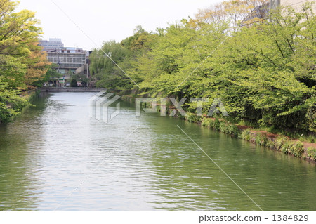 rivers, aqua, water 1384829