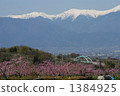 Momosaka peach fields and Southern Alps 2 1384925