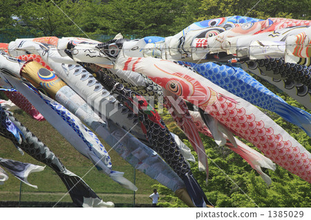 Carp streamer Carp streamer 1385029