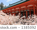 平安神社櫻花Mikuji 1385092