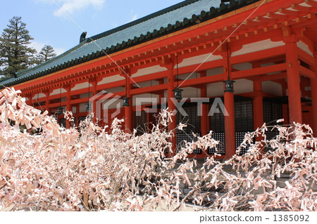 平安神社櫻花Mikuji 平安神社櫻花Mikuji 1385092