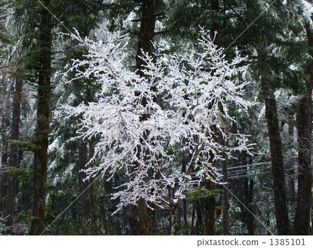 雨冰2 雨冰2 1385101